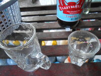 DSCN0390.JPG
