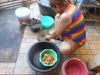 DSCN0408.JPG
