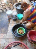 DSCN0407~2.JPG