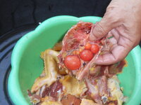 DSCN0410.JPG