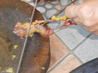 DSCN0412.JPG