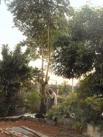 DSCN0515~2.JPG