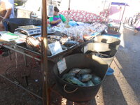 DSCN0449.JPG