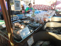 DSCN0451.JPG