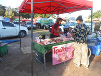DSCN0460.JPG