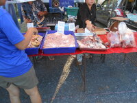 DSCN0459.JPG