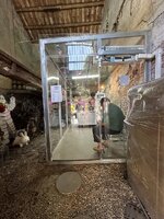 IMG_1958.jpeg
