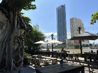 IMG_1940.jpeg
