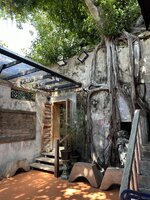 IMG_1922.jpeg
