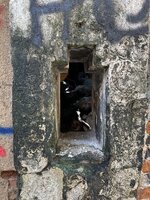 IMG_1951.jpeg