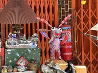IMG_1970.jpeg