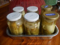 DSCN0954.JPG