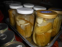 DSCN0973.JPG