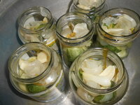 DSCN0850.JPG