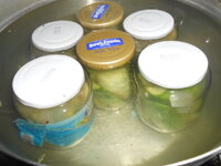 DSCN0859.JPG