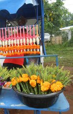 IMG_20220513_213033.jpg