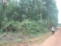 DSCN2516.JPG