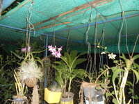 DSCN2681.JPG