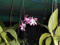 DSCN2675.JPG