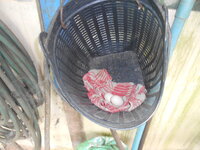 DSCN2505.JPG