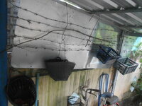 DSCN2503.JPG