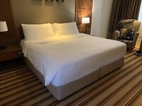 IMG_1251.jpeg