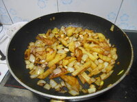 DSCN2102.JPG