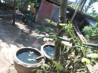 DSCN2119.JPG