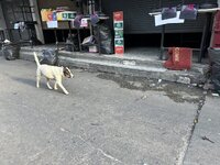 IMG_3078.jpeg