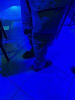 IMG_3436.jpeg
