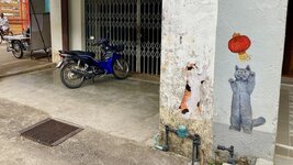 IMG_6263.jpeg IMG_6263.jpeg