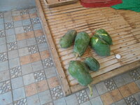 DSCN2488.JPG