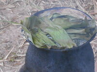 DSCN2605.JPG