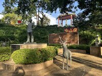 IMG_4782.jpeg