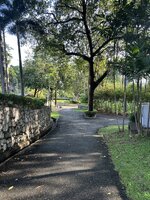IMG_4807.jpeg