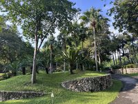 IMG_4808.jpeg