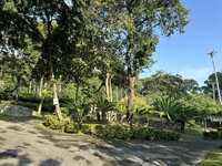 IMG_4810.jpeg