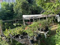 IMG_4811.jpeg