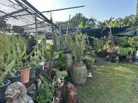 IMG_4813.jpeg