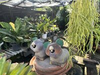 IMG_4816.jpeg