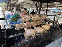 IMG_4822.jpeg