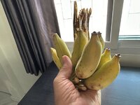 IMG_4837.jpeg