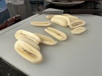 IMG_4836.jpeg