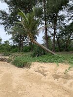 IMG_1461.jpeg