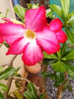 IMG_20240907_113948_017.jpg