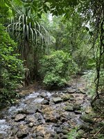 IMG_1469.jpeg
