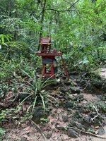 IMG_1471.jpeg