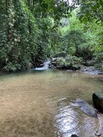 IMG_1472.jpeg