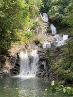 IMG_1481.jpeg