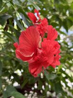 IMG_5820.jpeg